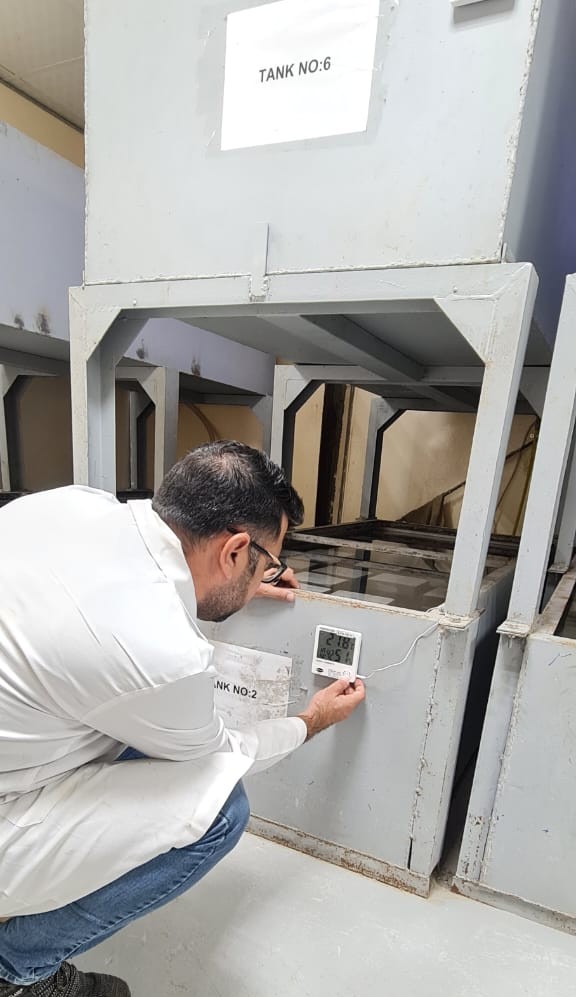 COMPRESSIVE CUBE TEST - 1